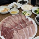 태평양회집 | 부산 남포동 대방어 맛집 태평양횟집 내돈내산 제철 대방어 후기 ft.두쫀쿠