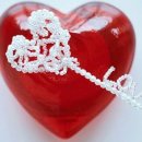 양양고등학교 이미지