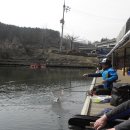 수동그린낚시터 이미지