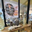 백세추어탕·삼계탕 | 보약같은 삼계탕, 내돈내산 둔촌동 백세삼계탕 강동점 후기(주차장 정보 등)