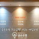 금손조명