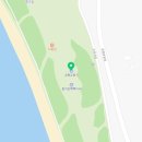 솔숲과 바다 | 🌊 궁평유원지 나들이 후기 | 바다, 솔숲, 힐링 산책코스까지