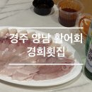 경희횟집 - 태안군 시장4길 5 | 경희횟집