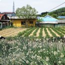 [포토일기] 행복이 흘러넘치는 두근두근 수동행복마을 스케치 이미지