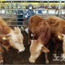 장서농장 이미지