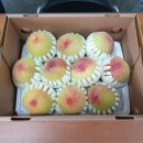 씨앤씨코리아 이미지