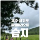 수망리 | 제주 동남쪽 서귀포 오름 물영아리 오름 가을 방문 후기