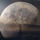 세월낚기 이미지