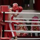 메니팜조아제약세계권투체육관 | [공지] "글러브 뭐 사지?" 10년차 복서가 추천하는 초보자 가성비 글러브