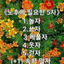 칠십년의 독백 한잔 이미지