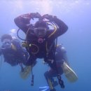 스쿠버월드 이미지