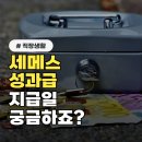 세메스(주) - 화성시 | 세메스 성과급 지급일, 작년과 다른 점은?