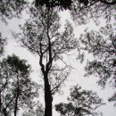 원주현대서비스 이미지