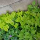 초전초등학교 이미지