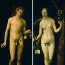 아담과이브 이미지