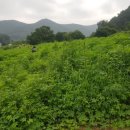 키도민박 이미지