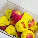 승주농장 이미지