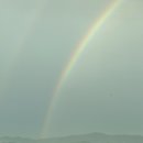 무지개게임장 이미지