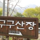 구구민박