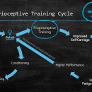 코어&밸런스트레이닝센터 이미지