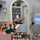 마루가발
