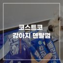 슈퍼베리 | 코스트코 강아지 덴탈껌 치석제거 슈퍼포우베리츄 급여 후기