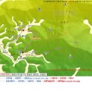 491 Daum카페