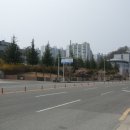 강남로(정하동) 이미지