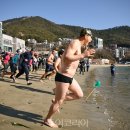 거제도국제펭귄수영축제 이미지