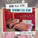 블룸비스타호텔앤컨퍼런스주식회사 | 테마룸으로 좋아하는 캐릭터방 예약이 가능한 양평 블룸비스타 호텔ㅣ시크릿쥬쥬방 예약 내돈내산 후기