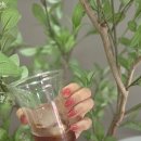 금령로106번길 이미지