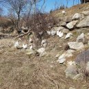 성조농장 이미지