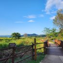 용산숲화장실 이미지