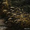 뚝길따라 이미지