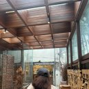 헬로엠 | 파르벵 x 헬로 키티 워시드 엠브로이디드 볼캡 차콜 후기!