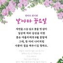 천아트 웹이코노미