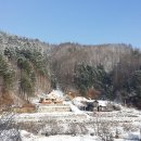 산음휴양림 달빛마을