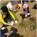 중산농원 이미지