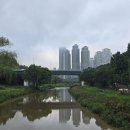 한산5교 이미지