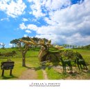 천년의 정원 이미지