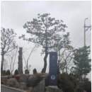 오라힐스 이미지