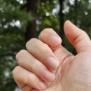 네일도 사랑해 - 노원구 | 용인 사랑해 네일샵 후기💅 유지력 인정