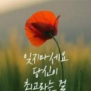 루디아 Daum카페