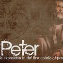 소망글로벌(주) 이미지