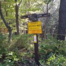 사시골천 이미지