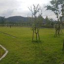 낙동강수련원 캠핑장 이미지