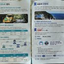 다누비 열차 | 부산 영도 태종대 태종사 다누비열차 후기