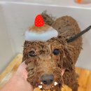 장미미장원 이미지