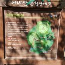 (209)차 8월 18일 경기 가평 어비산(822km) 정기산행 & 야유회 안내 이미지