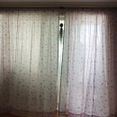 라벤더프렌즈 이미지